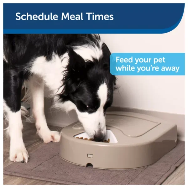 PetSafe® 5 Meal Pet Food Dispenser - Dry or Semi-Moist Pet Food ( Petsmart ) - Image 5