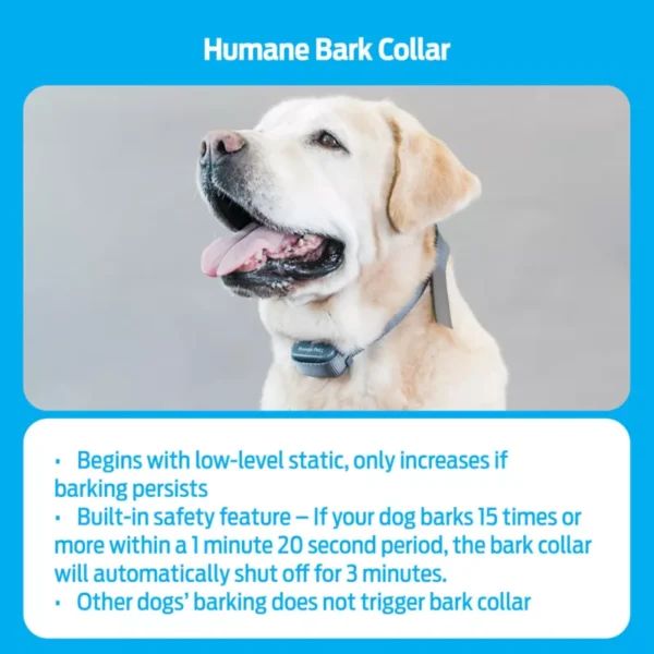 Premier Pet Rechargeable Bark Collar - Rechargeable - Adjustable & Waterproof ( Petsmart ) - Image 3