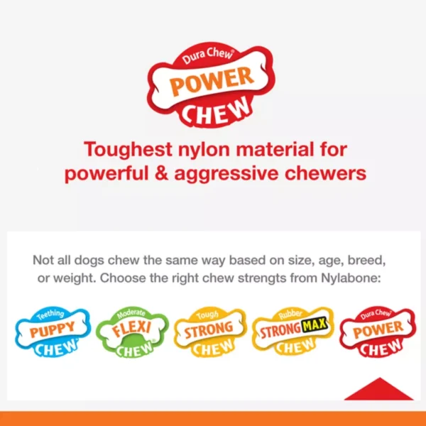 Nylabone® Power Chew X-Shaped Dog Bone Chew Toy ( Petsmart ) - Image 2